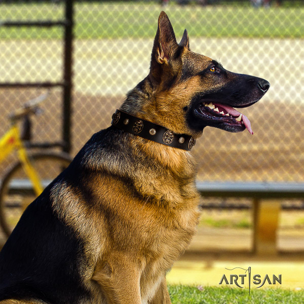 German-Shepherd Dog unusual studded full grain genuine leather dog collar for fancy walking