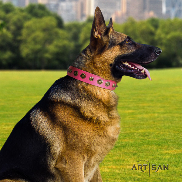 German-Shepherd Dog exceptional studded full grain natural leather dog collar for easy wearing