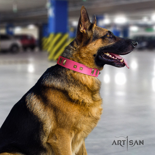 German-Shepherd Dog extraordinary embellished genuine leather dog collar for walking