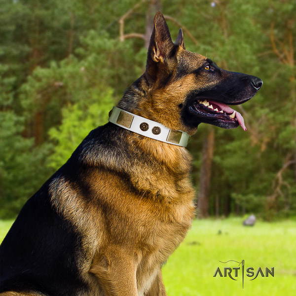 German-Shepherd Dog exceptional adorned full grain natural leather dog collar for everyday use
