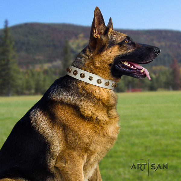 German-Shepherd Dog awesome studded natural leather dog collar for easy wearing
