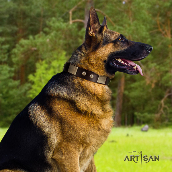 German-Shepherd Dog top notch adorned full grain natural leather dog collar for comfortable wearing