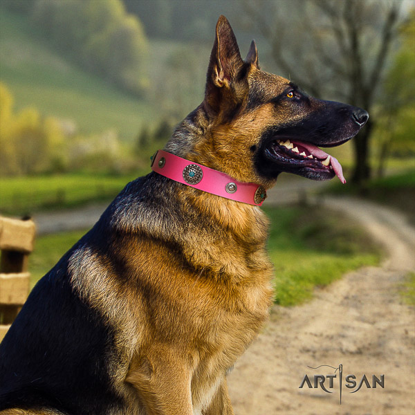 German-Shepherd Dog exquisite embellished full grain natural leather dog collar for daily use