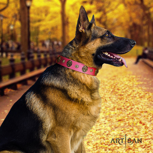 German-Shepherd Dog exceptional decorated full grain leather dog collar for easy wearing