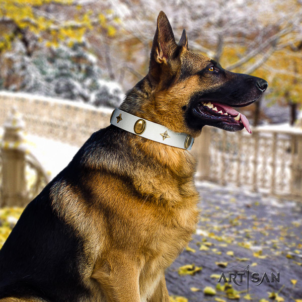 German-Shepherd Dog remarkable adorned genuine leather dog collar for stylish walking