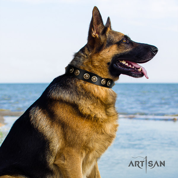 German-Shepherd Dog remarkable decorated genuine leather dog collar for walking