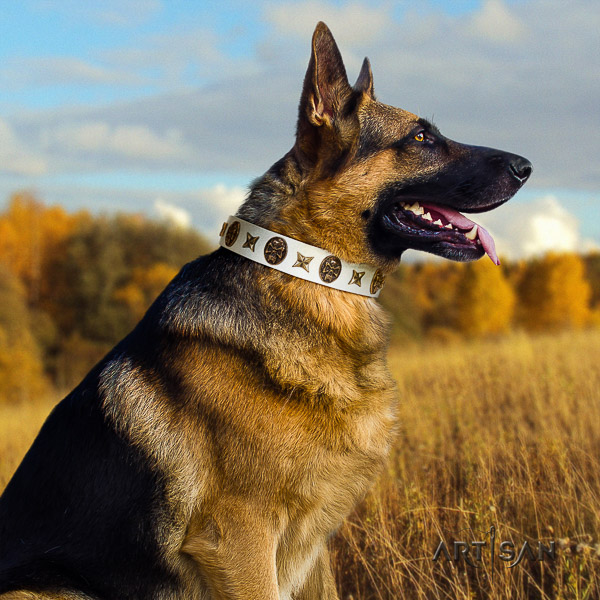 German-Shepherd Dog incredible embellished full grain natural leather dog collar for comfortable wearing