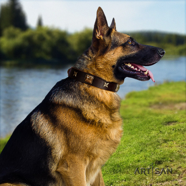 German-Shepherd Dog top notch adorned full grain leather dog collar for daily use