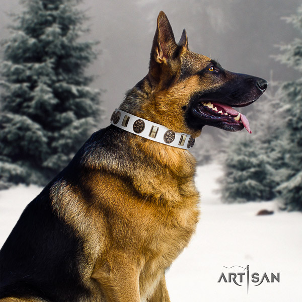 German-Shepherd Dog impressive adorned full grain leather dog collar for everyday walking