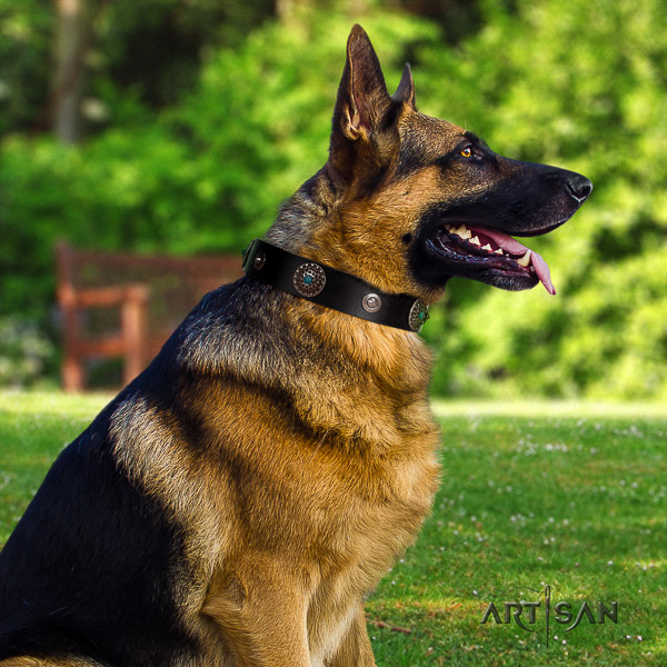 German-Shepherd Dog awesome embellished full grain genuine leather dog collar for comfy wearing