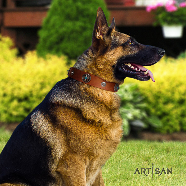 German-Shepherd Dog exceptional studded natural leather dog collar for walking