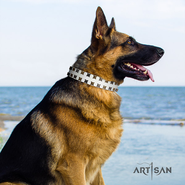 German-Shepherd Dog stylish decorated full grain natural leather dog collar for fancy walking