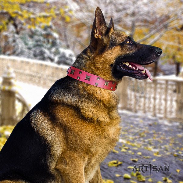 German-Shepherd Dog exquisite studded full grain genuine leather dog collar for handy use