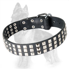 German-Shepherd Leather Dog Collar with 3 Rows of  Nickel Square Pyramids