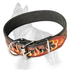 Bright Design Leather German-Shepherd Dog Collar With  Nickel Fittings