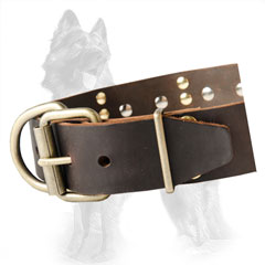 Exclusive Design Leather German-Shepherd Dog Collar  With Nickel Covered Hardware And Old Brass Plates