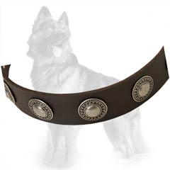 Leather German-Shepherd Dog Collar Equipped With Nickel  Covered Hardware
