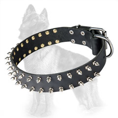 German-Shepherd Leather Dog Collar with Nickel Covered  Spikes, Buckle and D-Ring