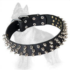 German-Shepherd Leather Dog Collar with Nickel Covered  Spikes, Buckle and D-Ring