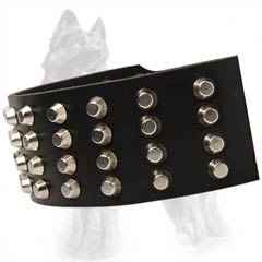 German-Shepherd Leather Dog Collar with 4 Rows of Hand  Set Nickel Covered Pyramids