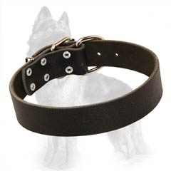 Reliable Leather German-Shepherd Breed Collar With  Nickel Plated Fittings