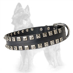 German-Shepherd Leather Dog Collar with Massive D-Ring  near Buckle