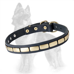 German-Shepherd Leather Dog Collar Decorated with Slim  Brass Plates