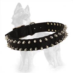 German-Shepherd Nylon Dog Collar with 2 Rows of Nickel  Spikes