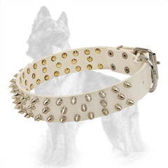 German-Shepherd Spiked Leather Dog Collar with Nickel  Covered Fittings