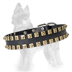 German-Shepherd Studded Dog Collar with Caterpillar  Design