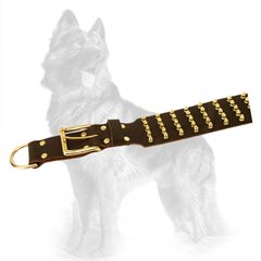 German-Shepherd Wide Leather Dog Collar Equipped with  Rustproof Golden Fittings