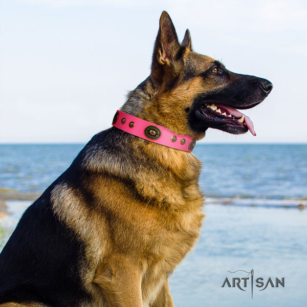German-Shepherd easy to adjust collar with unusual adornments for your doggie