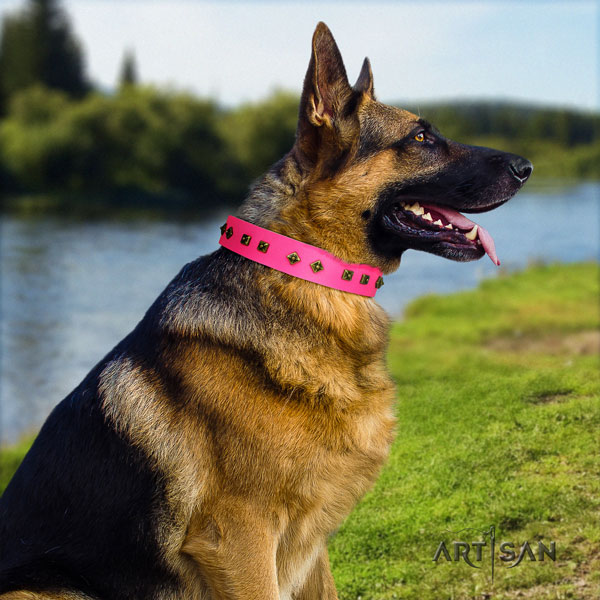 German-Shepherd perfect fit collar with stunning studs for your dog