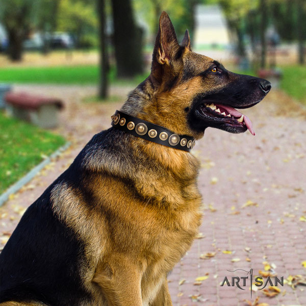 German-Shepherd easy wearing collar with unusual adornments for your dog