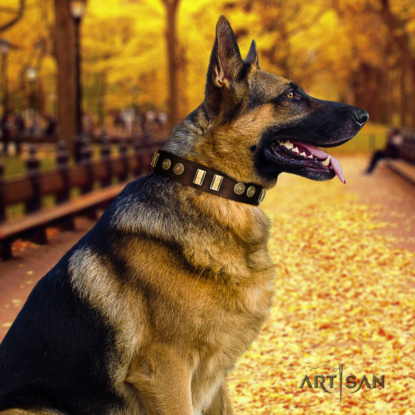 German-Shepherd adjustable collar with amazing decorations for your dog