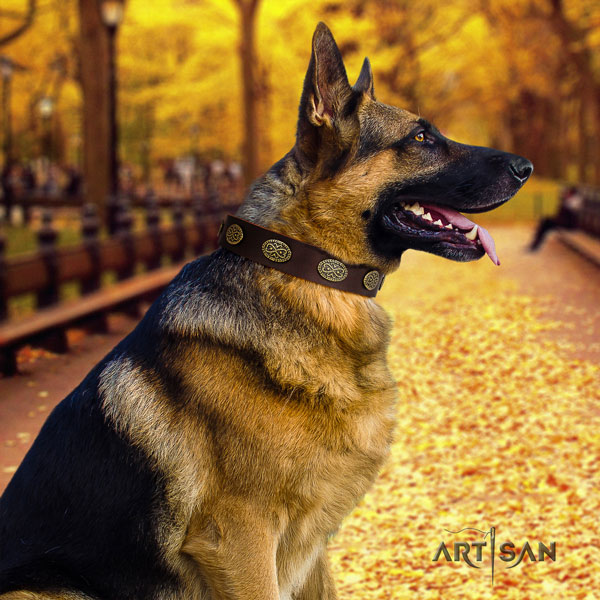 German-Shepherd easy to adjust collar with awesome embellishments for your four-legged friend