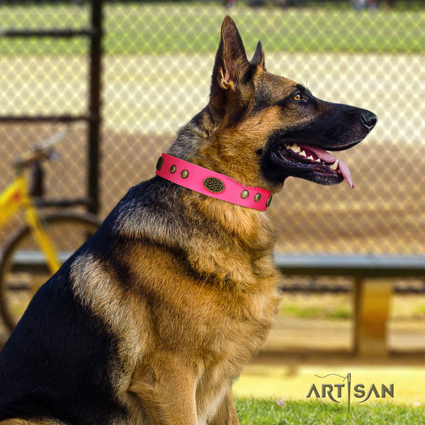 German-Shepherd easy wearing collar with impressive adornments for your doggie