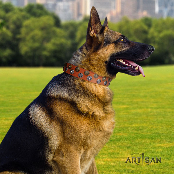 German-Shepherd fine quality collar with exquisite embellishments for your four-legged friend