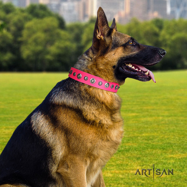German-Shepherd best quality collar with stylish embellishments for your canine
