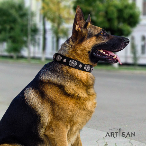 German-Shepherd comfortable collar with exquisite adornments for your canine