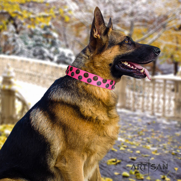 German-Shepherd fine quality collar with trendy adornments for your pet