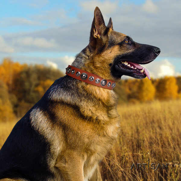 German-Shepherd convenient collar with stylish design adornments for your pet