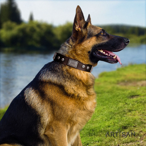 German-Shepherd handcrafted collar with awesome embellishments for your canine