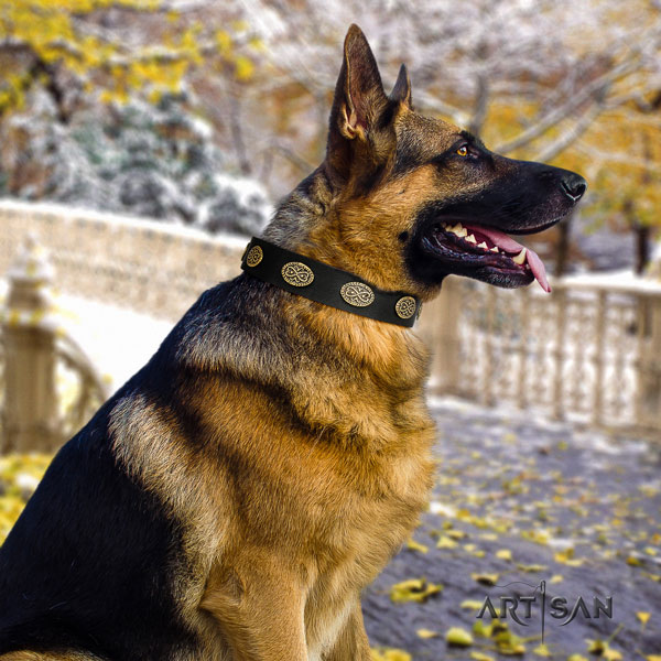 German-Shepherd fine quality collar with exceptional decorations for your dog