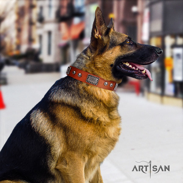 German-Shepherd easy adjustable collar with significant decorations for your doggie