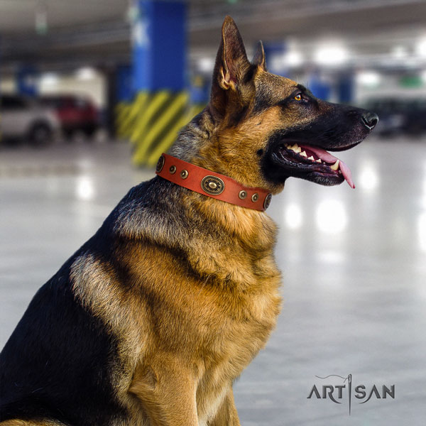 German-Shepherd adjustable collar with stunning embellishments for your four-legged friend