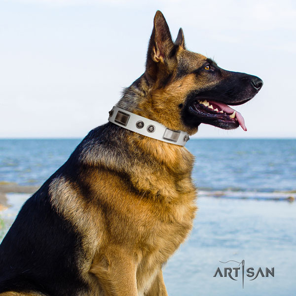 German-Shepherd adjustable collar with remarkable decorations for your pet