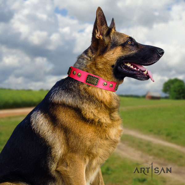 German-Shepherd comfortable collar with stylish adornments for your pet