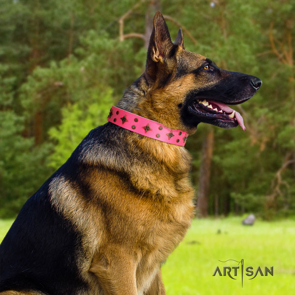 German-Shepherd best quality collar with designer embellishments for your four-legged friend