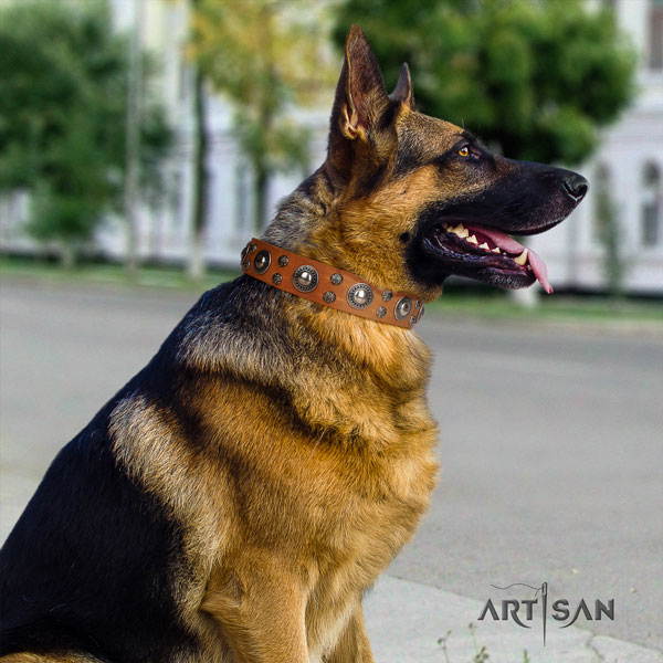 German-Shepherd convenient collar with trendy adornments for your four-legged friend